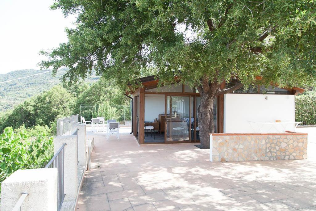 B&B Le Rose Del Tirreno Falerna Exterior photo